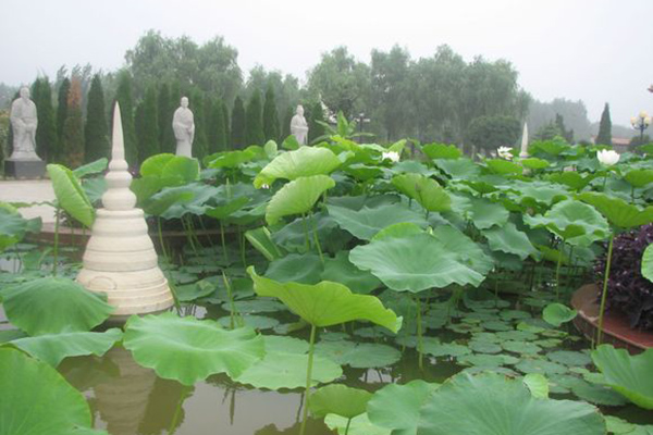 迁西县长青陵园