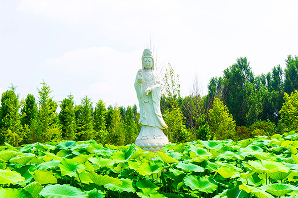 涿州市佛驿宫陵园