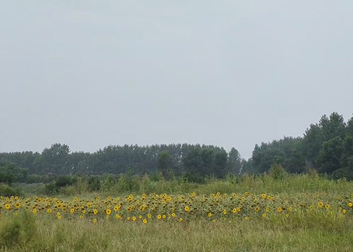 沈阳皇龙岗墓园