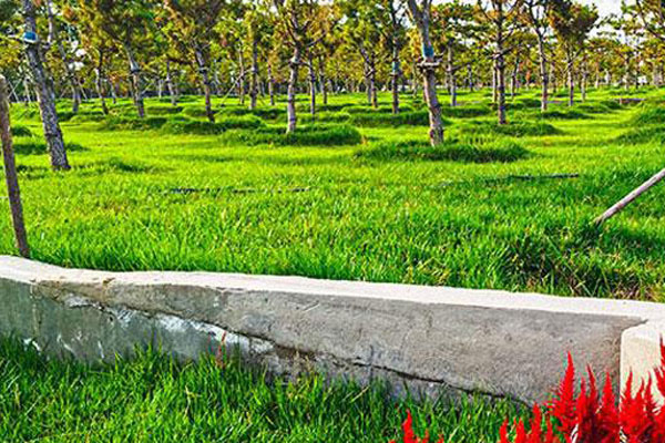 北京张家湾生态陵园