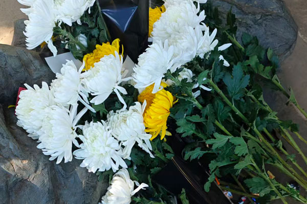 天津公墓行业贯彻落实新的《殡葬管理条例》