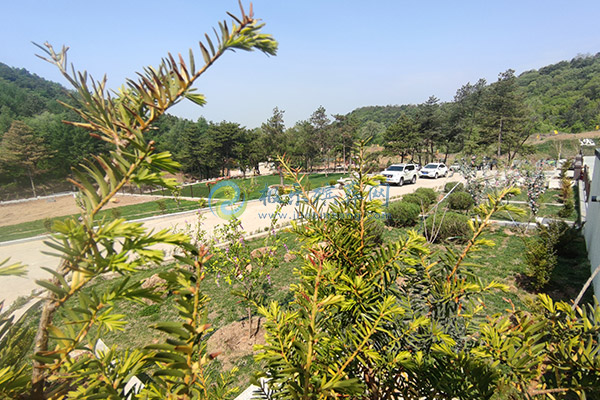 石家庄陵园价格一览表及墓园墓地选购指南