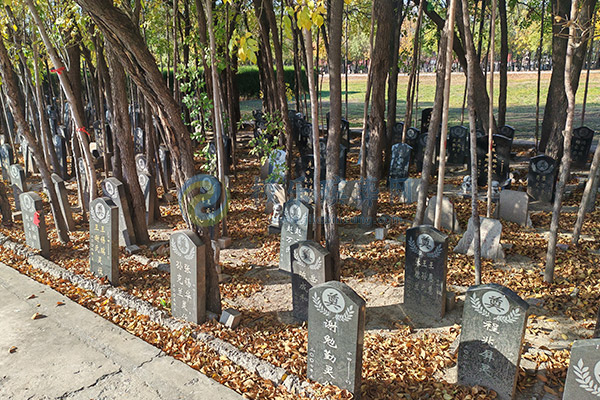 北京墓地价格清明选墓全攻略：预算、风水、流程、避坑一网打尽（2026惠民版）