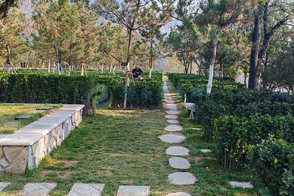 北京墓地价格清明选墓全攻略:预算、风水、流程、避坑一网打尽(2026惠民版)