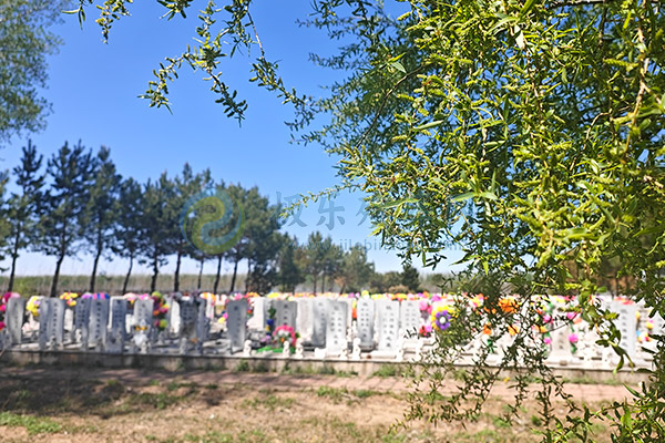 沈阳墓地价格解析与2026下半年墓园选墓指南