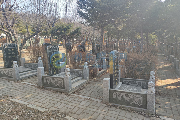 沈阳树葬墓园选型对比：回龙岗公墓、森林纪念园公墓（纪念林）、盘龙福地公墓.jpg