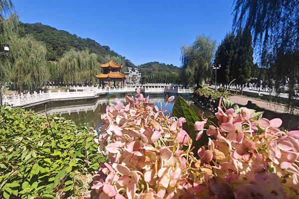 预算1-6万在沈阳能选什么墓地？大河贝墓园最新价格梯度，仅4800元起！